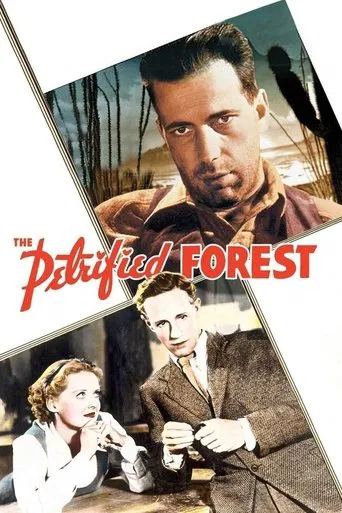 Regarder La Forêt pétrifiée en streaming complet