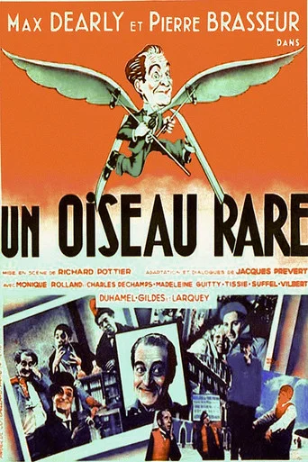 Regarder Un oiseau rare en streaming complet